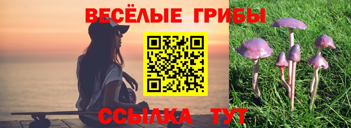 где купить   Вход с VPN  Чебоксары  Псилоцибиновые грибы ЛСД 