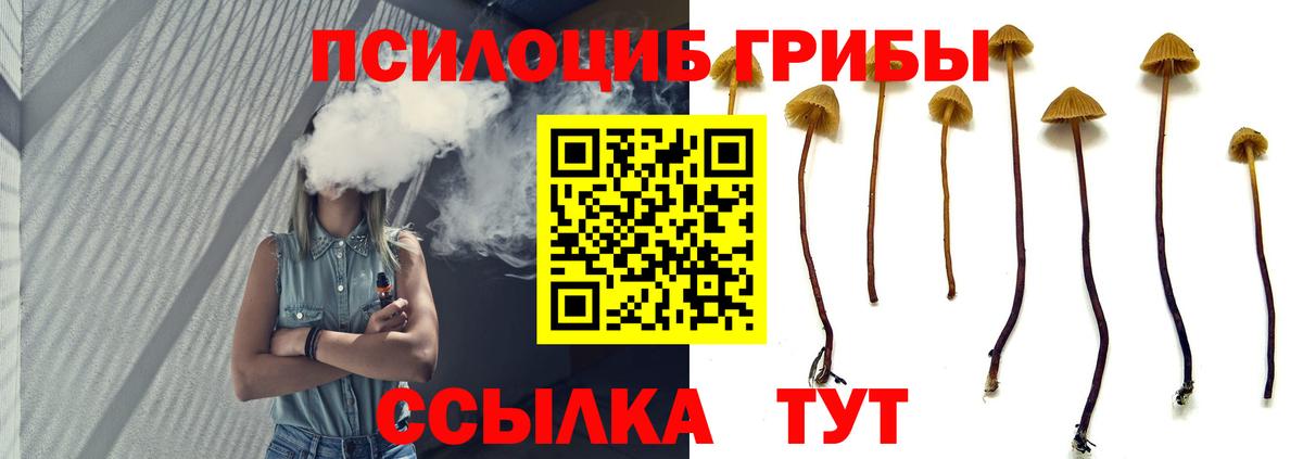 Псилоцибиновые грибы GOLDEN TEACHER Чебоксары